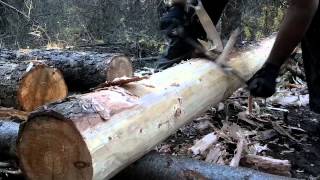 How to use a Drawknife  Drawshave  Peeling logs [upl. by Eener]