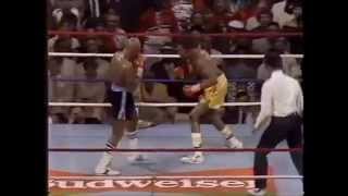 Hagler vs Hearns round 3 [upl. by Bel]