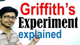 Griffiths experiment [upl. by Euqcaj]