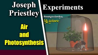 Joseph Priestley Experiment [upl. by Nooj]