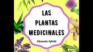 Las plantas medicinales en Educación Infantil [upl. by Alekim]