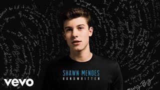 Shawn Mendes  Aftertaste Audio [upl. by Esinned]