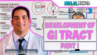 Gastrointestinal  Development amp Embryology of the GI Tract Part 1 [upl. by Hoisch315]