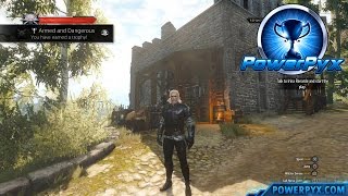 The Witcher 3 Wild Hunt  Griffin Witcher Gear Set Locations Armed and Dangerous Trophy [upl. by Cameron832]