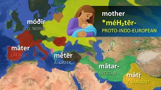 IndoEuropean Languages  Word Comparisons [upl. by Denys309]