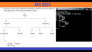 Tree Structure Directory and Files Create in MS DOS [upl. by Rojam]