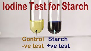 Libermann Nitroso reaction  test for phenols [upl. by Wallack]