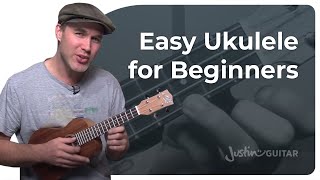 How to Play the Ukulele 4 Easy Chords amp Many Songs [upl. by Bary678]