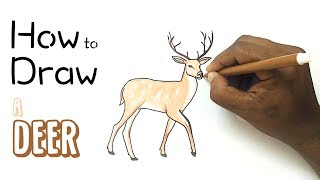 How to Draw a Deer [upl. by Odlanyar]