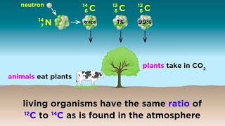 Radiometric Dating Carbon14 and Uranium238 [upl. by Akinahc]