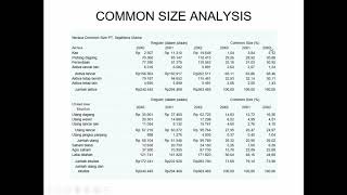 Analisis Tren Common Size dan Index [upl. by Ataner]