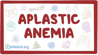 Aplastic anemia  an Osmosis Preview [upl. by Anahcra]