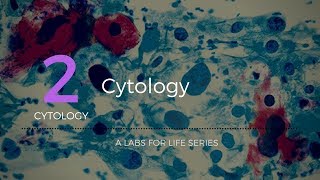 Cytology [upl. by Conrad227]