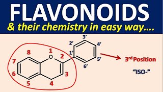 Flavonoids and their chemistry in easy way [upl. by Kcirttap]