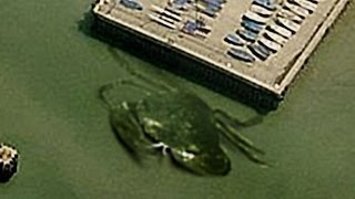 19 BIZARRE Things Found on Google Earth [upl. by Rolland]