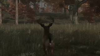 Deer Simulator PS4 [upl. by Imik]