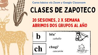 CLASES DE ZAPOTECO [upl. by Okimuk]