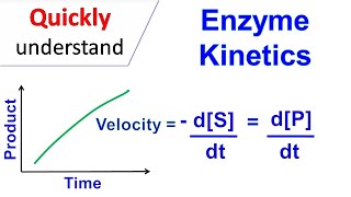 Enzyme kinetics [upl. by Yarased]