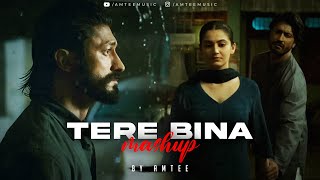 Tere Bina Mashup  Amtee  Bollywood Lofi  Spirits  Aaja ve  Kabira [upl. by Herring748]