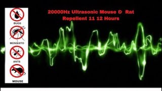 Ultrasonic Mouse and Rat Repellent 12 Hours  20000Hz  No ads [upl. by Ilesara]