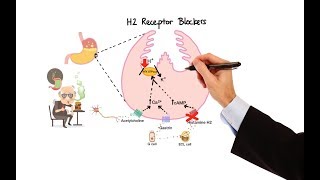 Pharmacology  ANTIHISTAMINES MADE EASY [upl. by Natam]