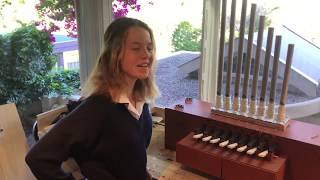 Home Made Pipe Organ [upl. by Quillon]