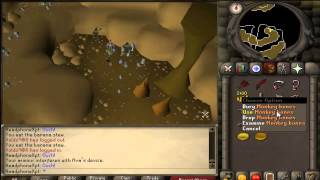 Runescape 2007 How to get all monkey greegrees [upl. by German]