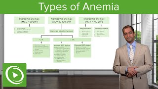 Anemia Microcytic Normocytic amp Macrocytic Type – Hematology  Lecturio [upl. by Aivato]