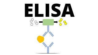 ELISA Enzymelinked Immunosorbent Assay [upl. by Landbert]