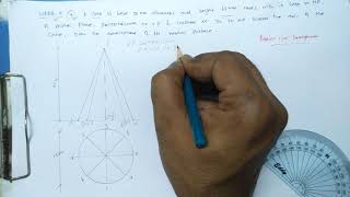 Development of cone [upl. by Elke]