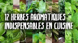 12 herbes INDISPENSABLES en cuisine partie I [upl. by Harpole159]