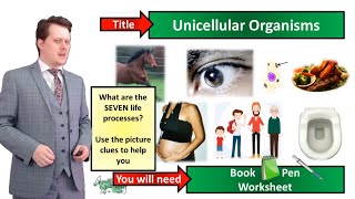 Unicellular Organisms  Biology  KS3  Key Stage 3  Mr Deeping [upl. by Llenroc]