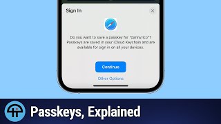 What Are Passkeys [upl. by Retrac]