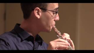 F Schubert  Ständchen Serenade for Flute and Piano HD [upl. by Rakia]