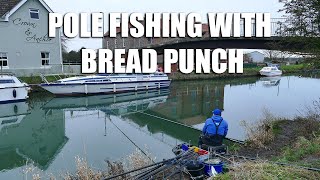 Pole Fishing with Bread Punch  River Hull [upl. by Ranee]