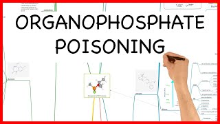 ORGANOPHOSPHATE POISONING 2020 PHARMACOLOGY SERIES [upl. by Aynatahs51]