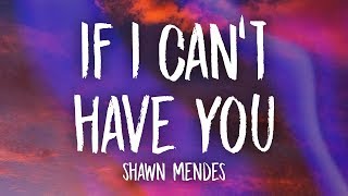 Shawn Mendes  If I Cant Have You Lyrics [upl. by Airtened]