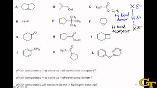 Identifying Hydrogen Bond Donors amp Acceptors [upl. by Trina]