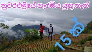 Nuwara eliya travel places  nuwara eliya  nuwara eliya travel vlog [upl. by Rozanna667]