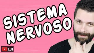 SISTEMA NERVOSO  FISIOLOGIA  Aula  Biologia com Samuel Cunha [upl. by Hardan]