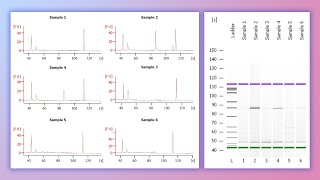 Forensic DNA Profiling Part 3 [upl. by Aynekat822]