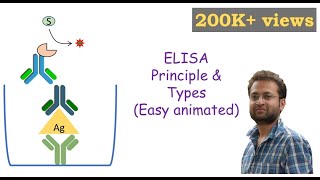 ELISA Enzymelinked Immunosorbent Assay [upl. by Virgel]