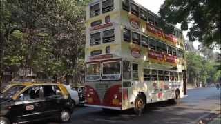 Triple Decker Bus [upl. by Anelej]