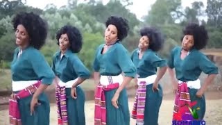 Best Ethiopian Traditional Music 2014 Solomon Demle  Mech Ayeshiwuna [upl. by Yesdnil]