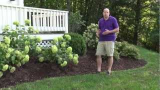 Front Yard Landscape Design Ideas  Trumbull CT Landscape Designer [upl. by Schaefer]