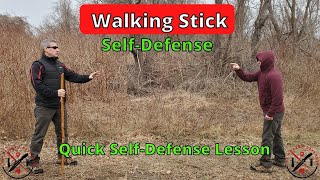 How To Use a Walking Stick for SelfDefense [upl. by Haerle]