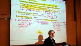 BIOLOGY CYTOLOGY PART 3 by Professor Fink [upl. by Francesco851]