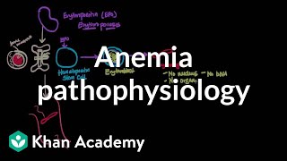 Anemia pathophysiology  Hematologic System Diseases  NCLEXRN  Khan Academy [upl. by Esiralc838]