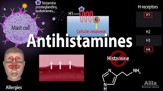 Histamine and Antihistamines Pharmacology Animation [upl. by Aihtnyc97]