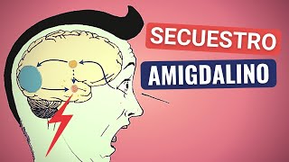 Amígdala y Neuromotricidad [upl. by Aldis]